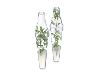 conical plant tissue culture plastic tubes