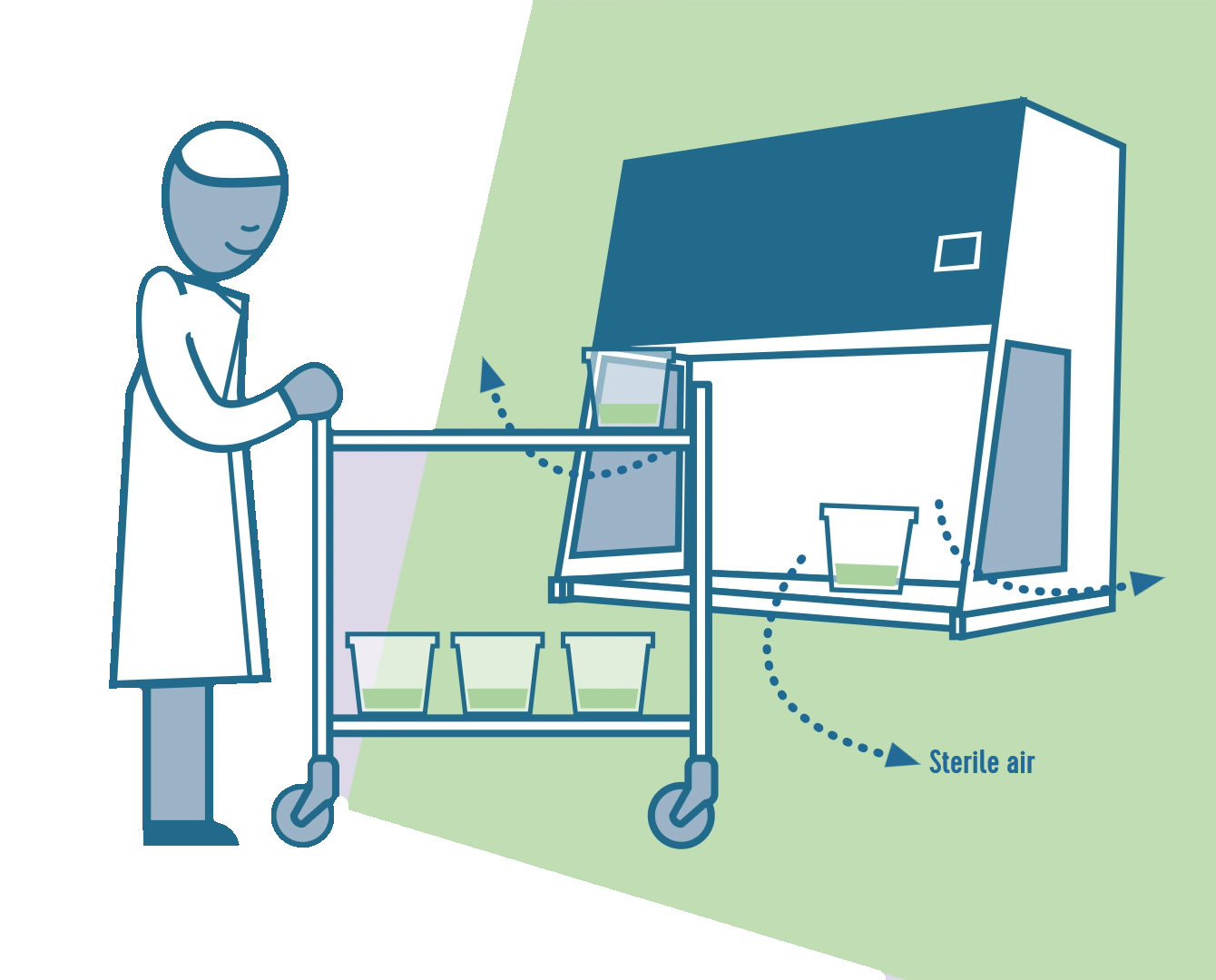 Laminar flow cabinet, Biotectum Classic