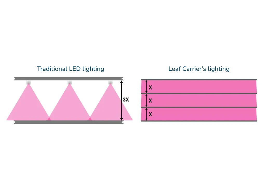 Leaf Carrier plant growth racks light uniformity
